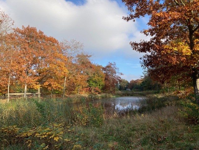 Mindfulness for Særligt Sensitive